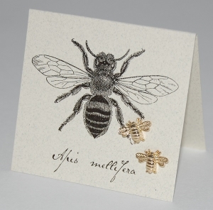 Bee Natural History Earrings - gold