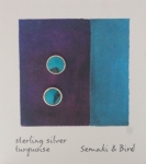 Turquoise Circles Silver - Abstracts