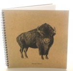 Bison Explorer Journal