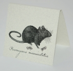 Mouse Natural History Earrings - silver