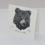 Bear  Natural History Earrings - silver
