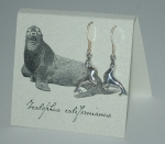 Sea Lion Natural History Earrings