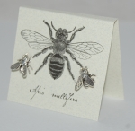 Large Bee Natural History Earrings - silver