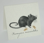 Mouse Natural History Earrings - gold