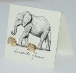 Elephant Natural History Earrings - gold