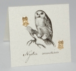 Owl Natural History Earrings - gold