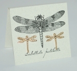 Large Natural History Dragonfly Earrings - gold