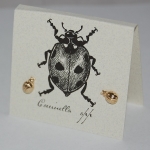 Ladybug Natural History Earrings - gold