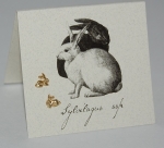 Rabbit Natural History Earrings - gold