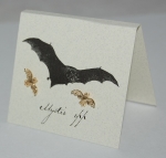 Bat Natural History Earrings - gold