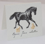 Horse Natural History Earrings - gold