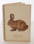 Rabbit ART + Nature recycled paper journal