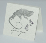 Iguana Natural History Earrings -silver