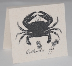 Crab Natural History Earrings