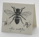 Bee Natural History Earrings - silver