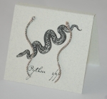 Snake Natural History Earrings - silver