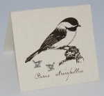 Chickadee Natural History Earrings - silver