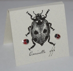 Ladybug Enamel Natural History Earrings