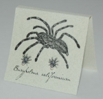 Spider Natural History Earrings - silver