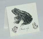 Large Frog Natural History Earrings - silver