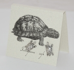 Turtle Natural History Earrings - silver
