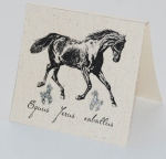 Horse Natural History Earrings