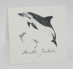 Dolphin Natural History Earrings - silver