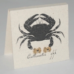 Crab Natural History Earrings - gold