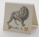 Natural History Lion Earrings - gold