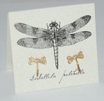 Dragonfly Natural History Earrings - gold