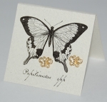 Butterfly Natural History Earrings - gold