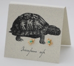 Turtle Natual History Earrings - gold & turquoise