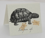 Turtle Natural History Earrings - gold